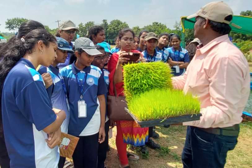 Neo Geetanjali Schools